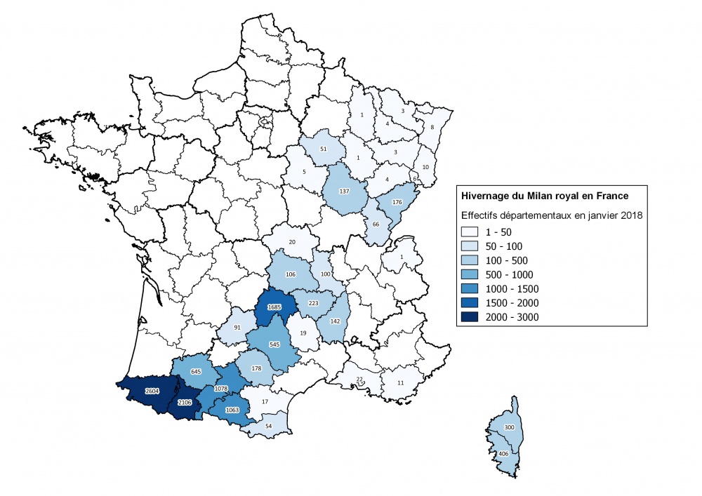 Réseau Milan royal ©