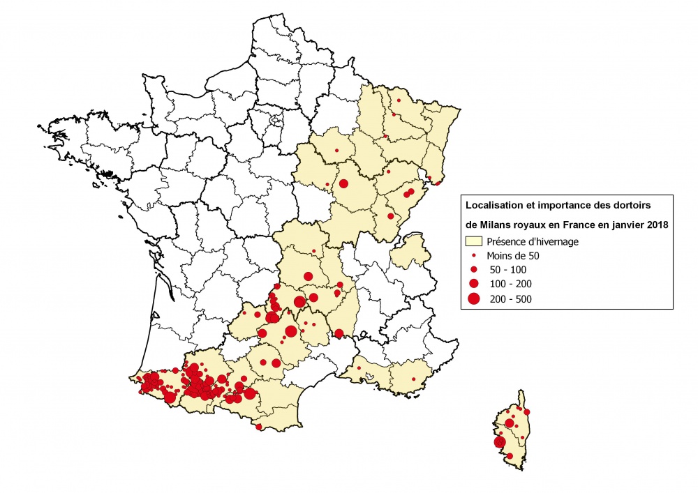 Réseau Milan royal ©