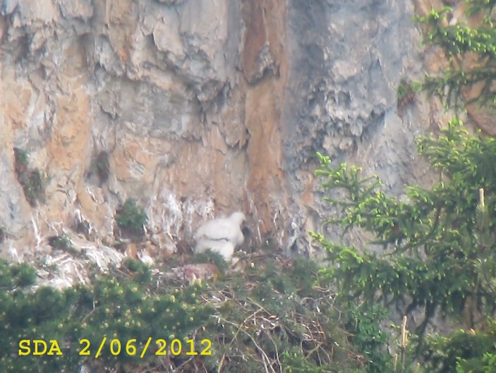 Photos ©. C. Couloumy