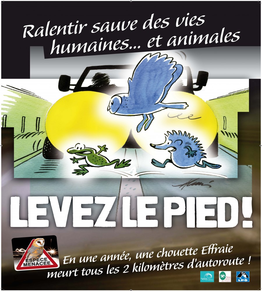 Affiche Levez le pied !