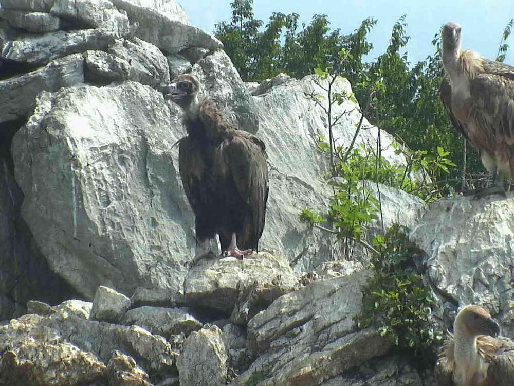 OVIEDO - © Fulvio Genero