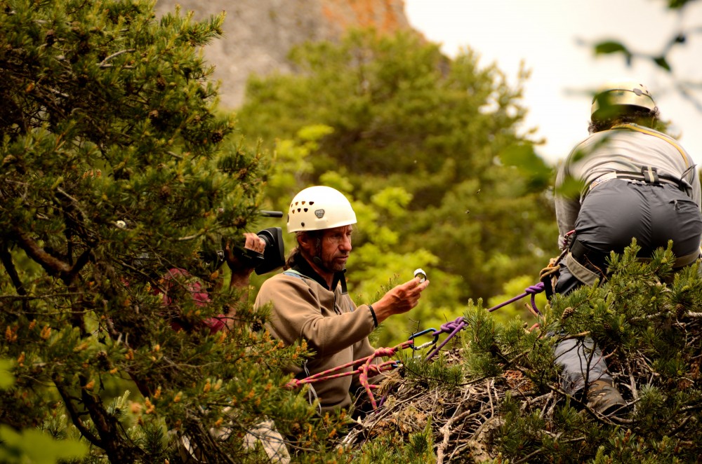 Tournage "La France du bout du Monde" - © Raphaël Néouze, LPO Grands Causses