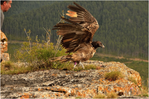 Relacher de Layrou © Raphaël Néouze