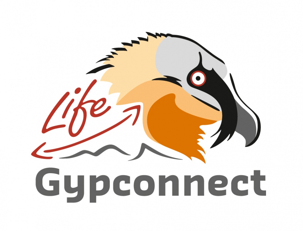 logogypconnectrvb