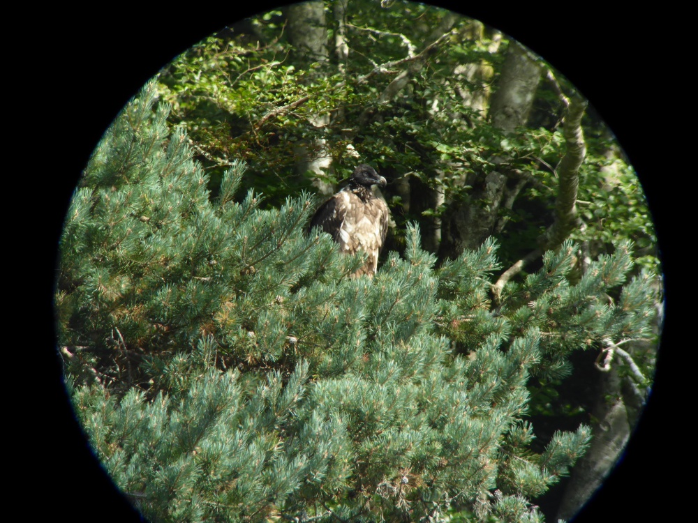Viaduc_Correze©Mathilde_Mas