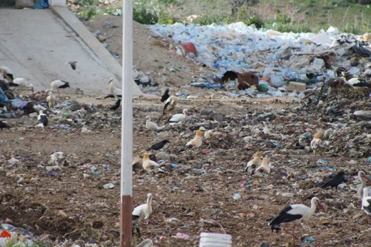 photo: Salah Telailia / El-Tarf University