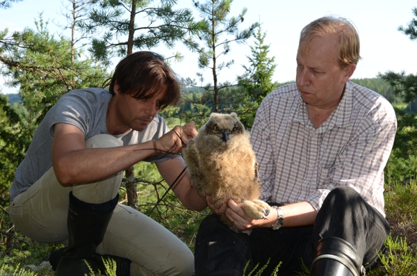 600bubovalkamapenteriani