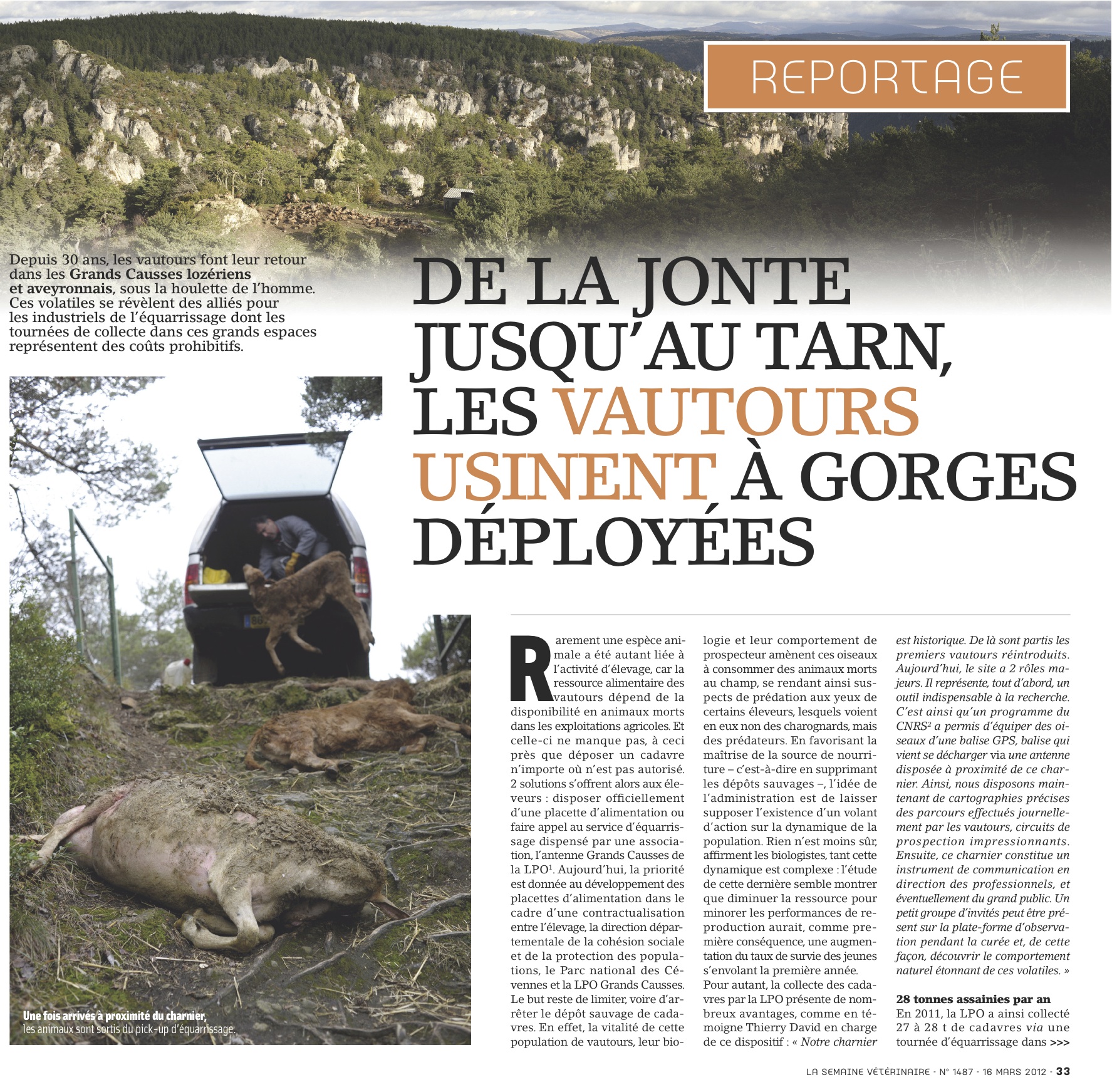 apercu-semaine-veterinaire