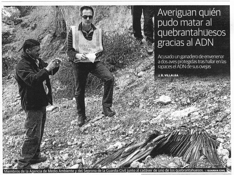 article-empoisonnment-gypaete-barbu