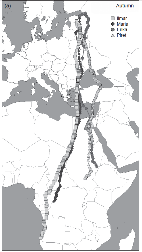 capture-e-cran-2019-05-03-094105