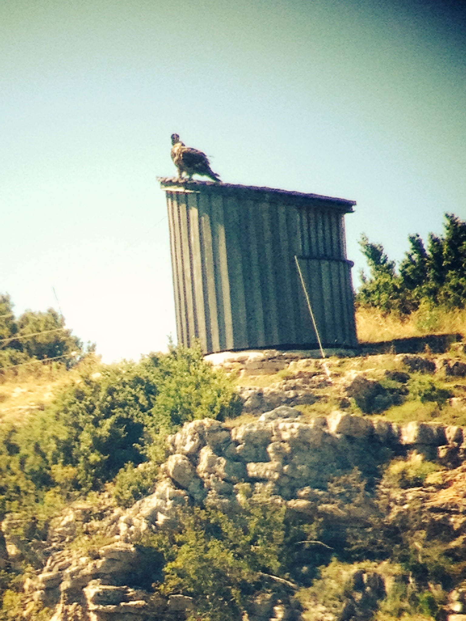 caylaenvisiteaffut-alexandrapinelle