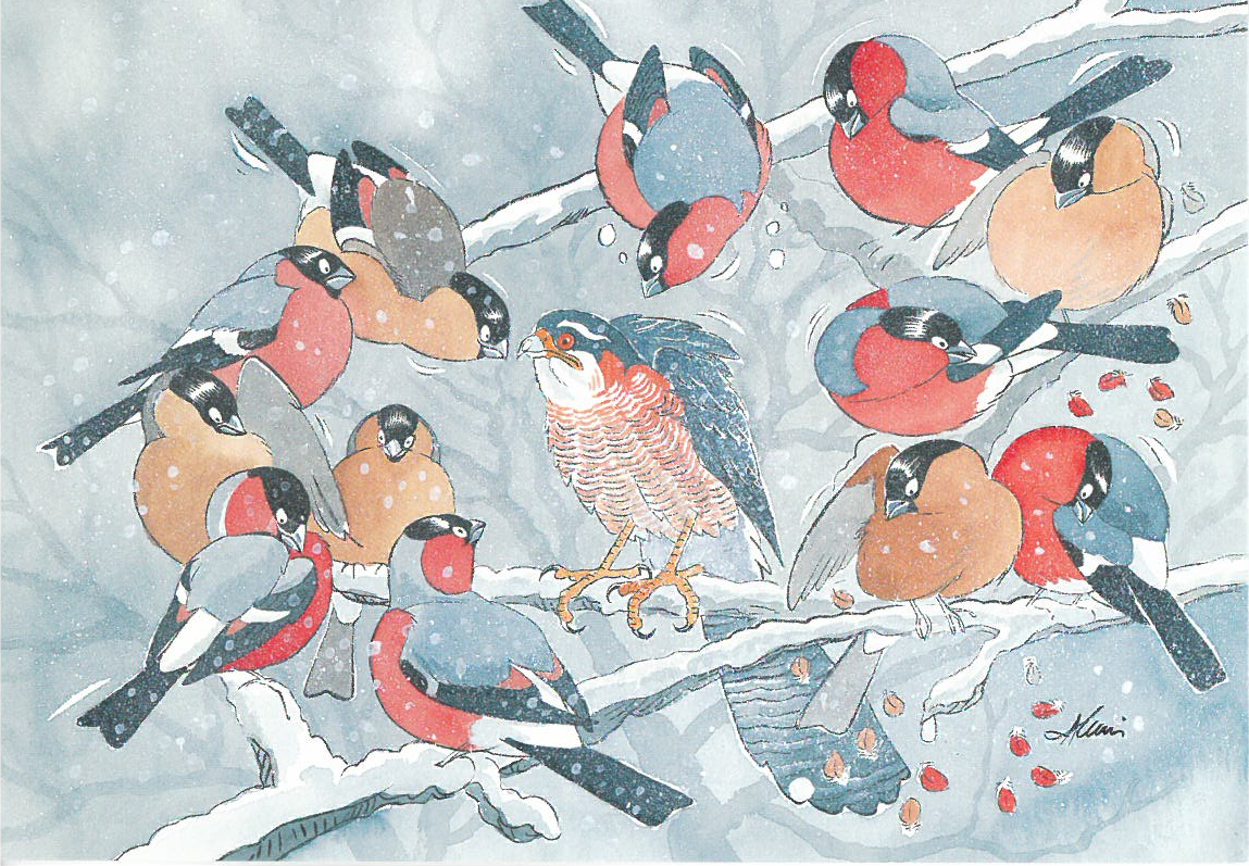 dessin-alexiscartepostale01