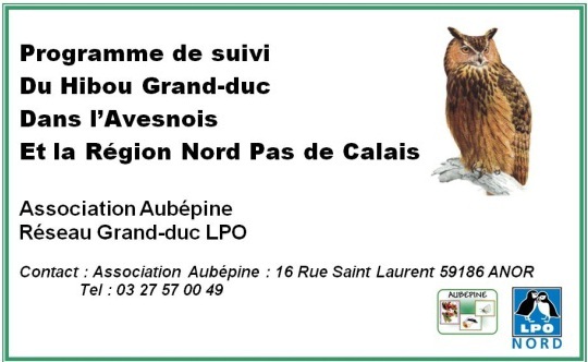 formation-grand-duc-nord