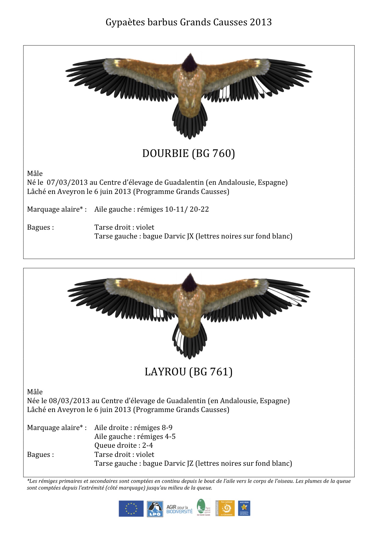 marquage-oiseaux-2013