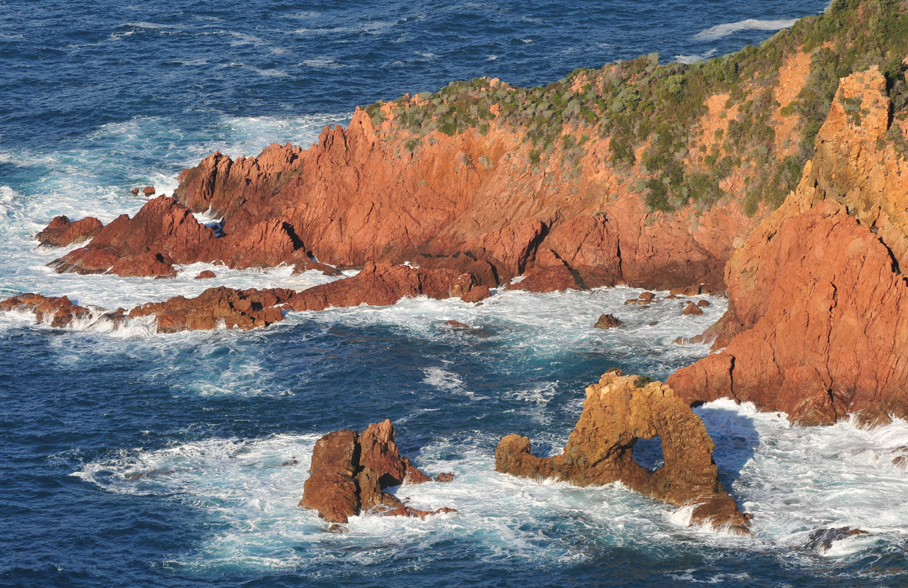 photo-actualit-balbuzard