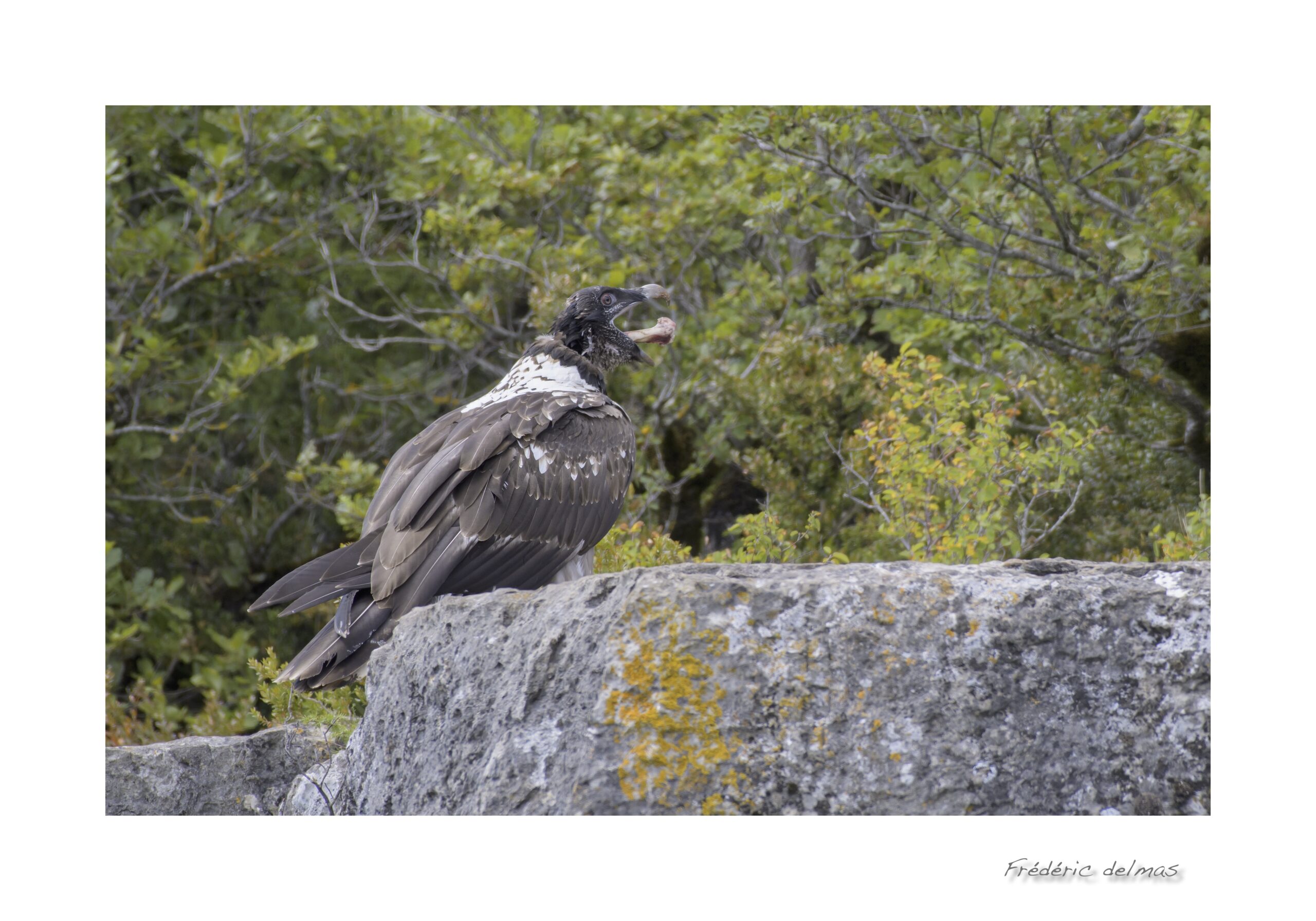 pro-naturafredericdelmas-1