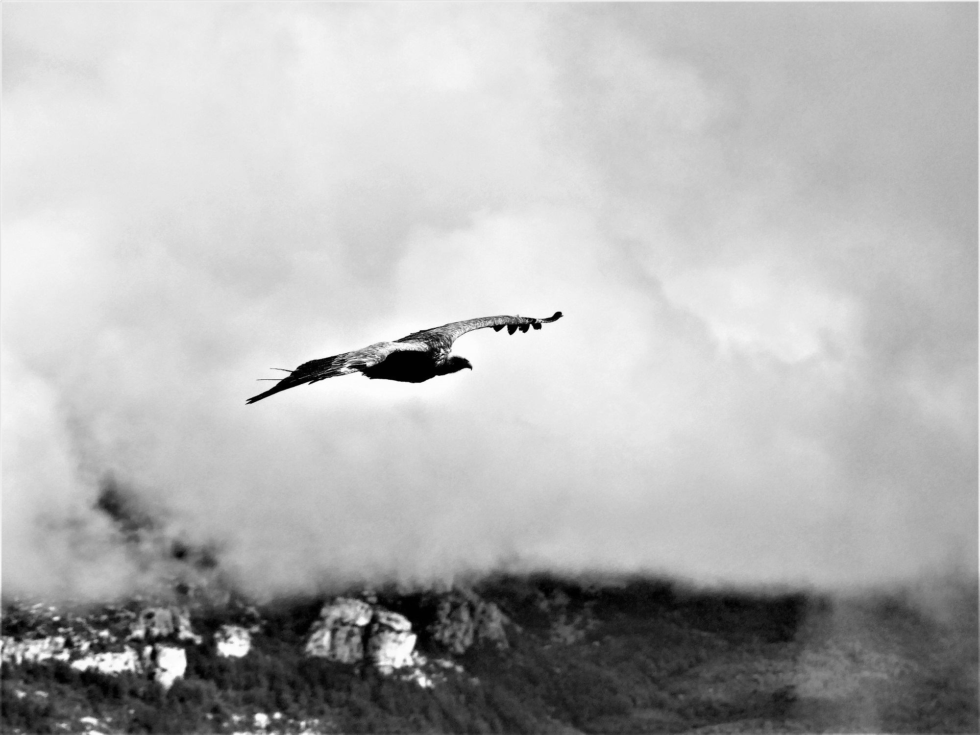 r-duction-p2060744-2-4