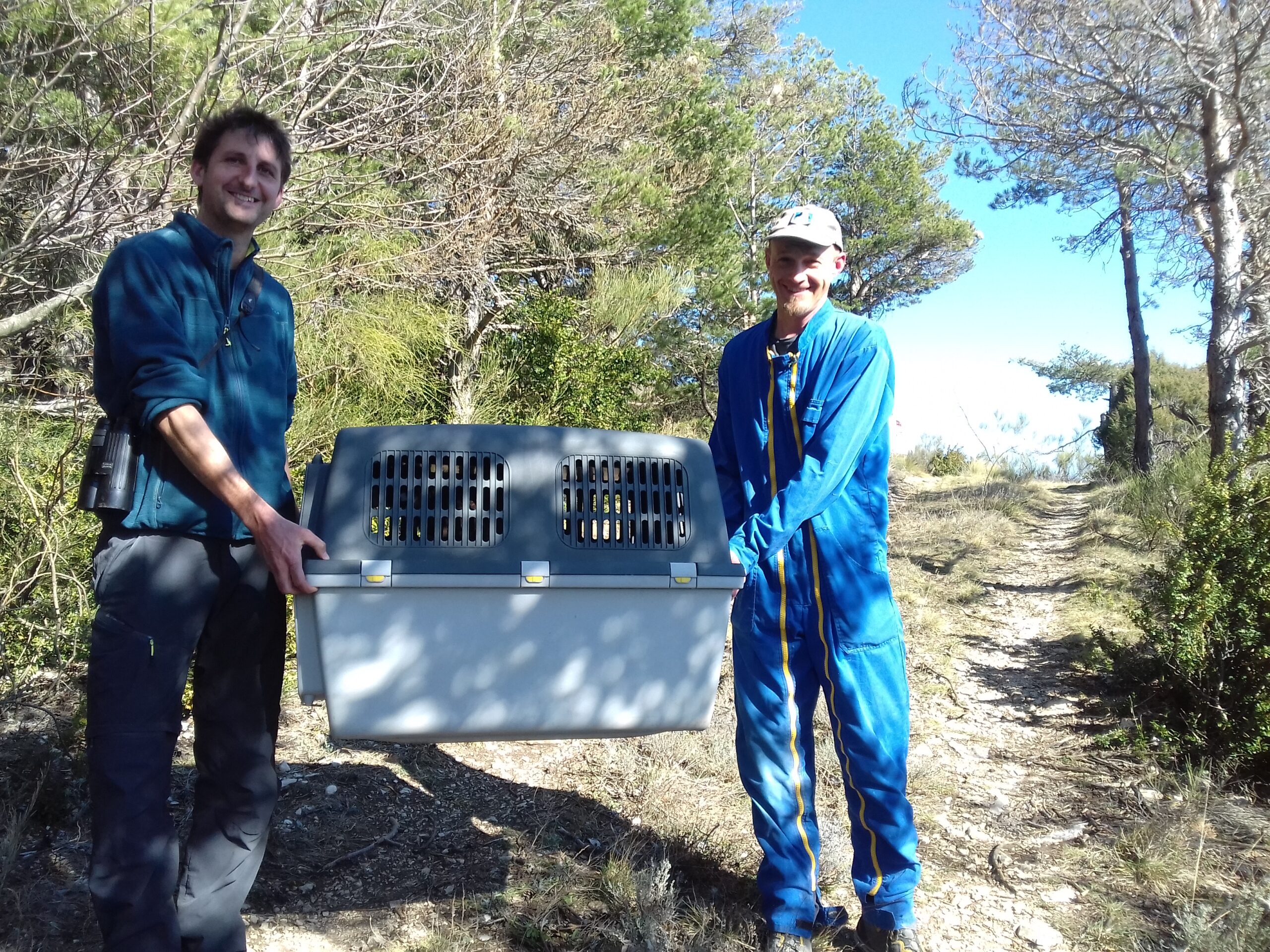 renaudnadallpoetsylvainhenriquetlpopaca