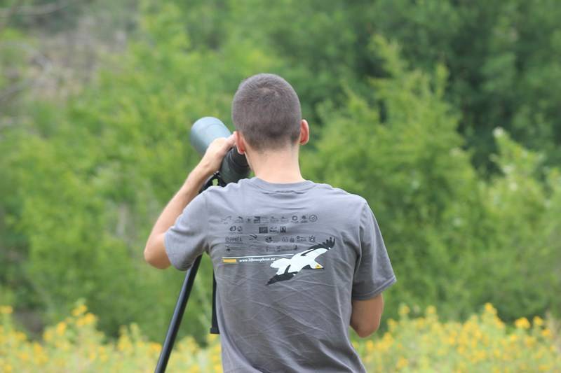 monitoring-aos-2019-5d7fa1b1b129e