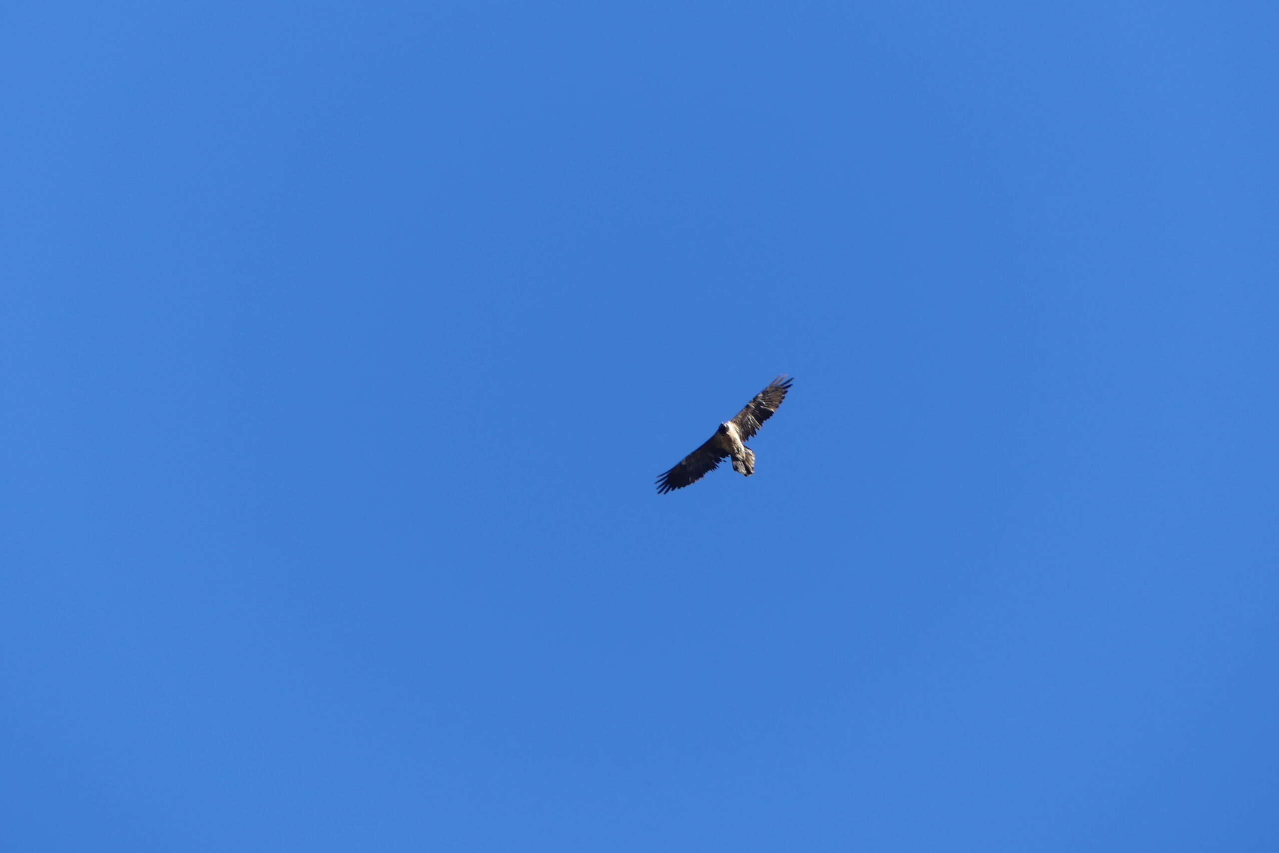 calendreto28fev2020-lpogc-5