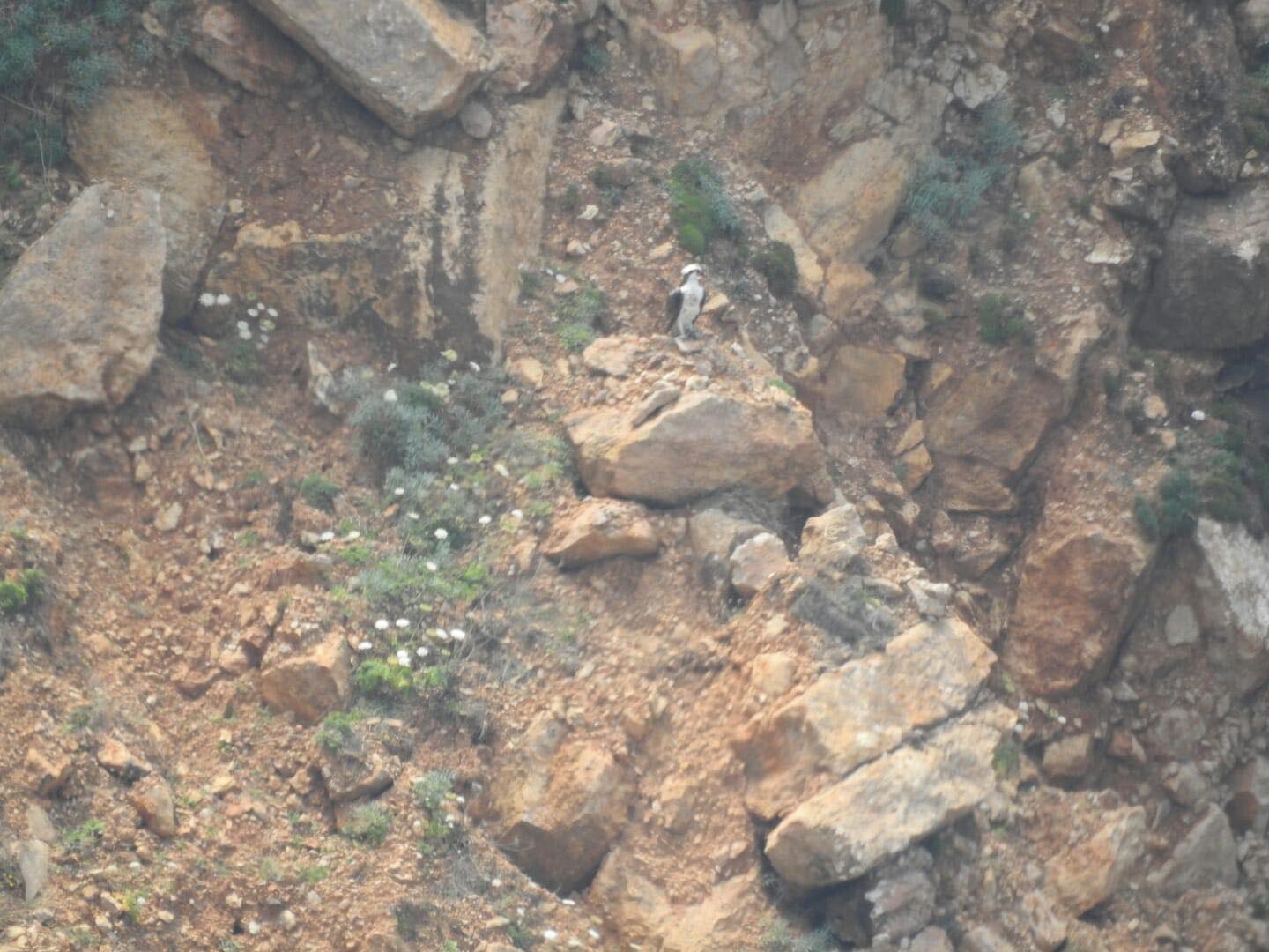 parco-naturale-regionale-di-porte-conte