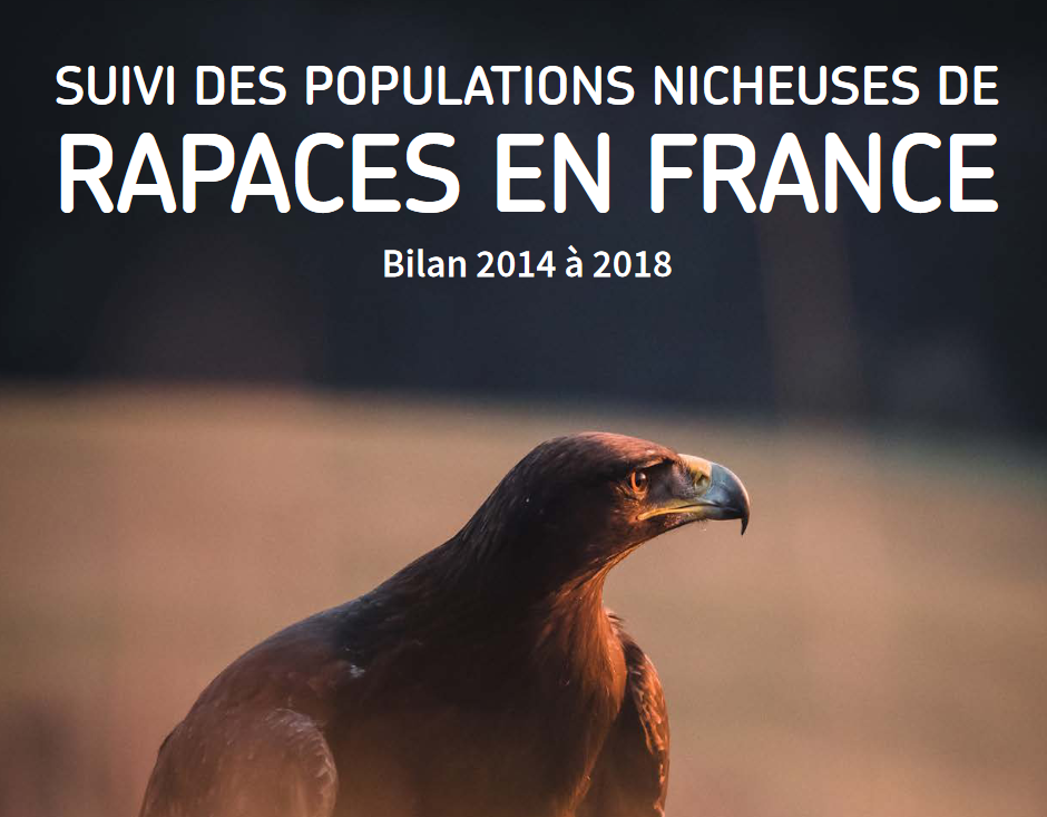 suivi-rapaces-bilan-2014-2018
