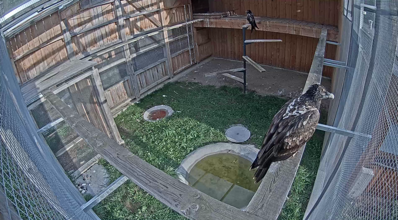 d4896668-6548-4f56-b4a6-4e506745ecf6