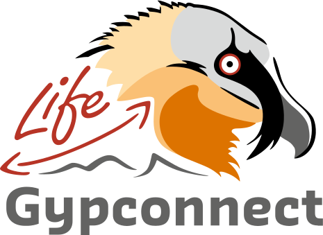 Gypconnect