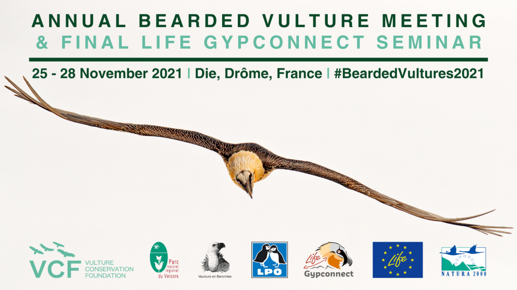 annual-bearded-vulture-meeting-and-final-life-gypconnect-seminar-1024x576