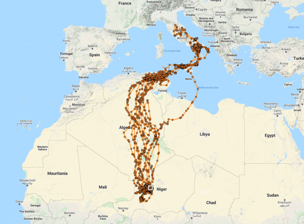 Suivi du vautour percnoptère Sara de 2015 à 2021