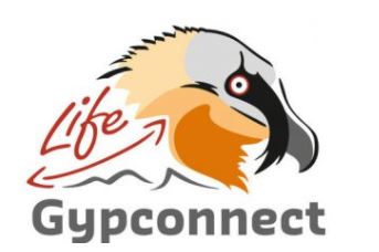 life-gypconnect