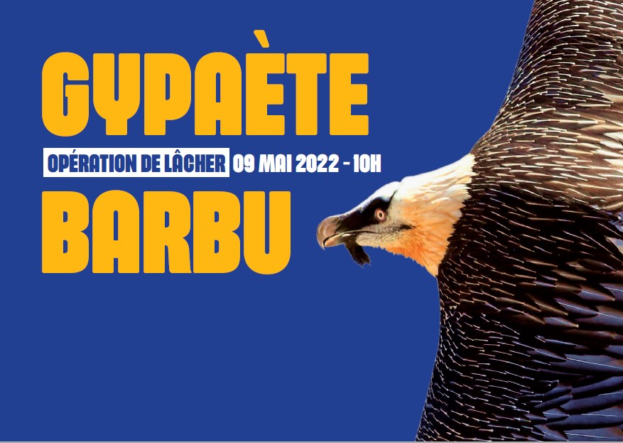 capture-cran-2022-04-19-142022