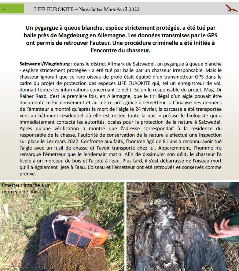 article-pqb-newletters-life-eurokite