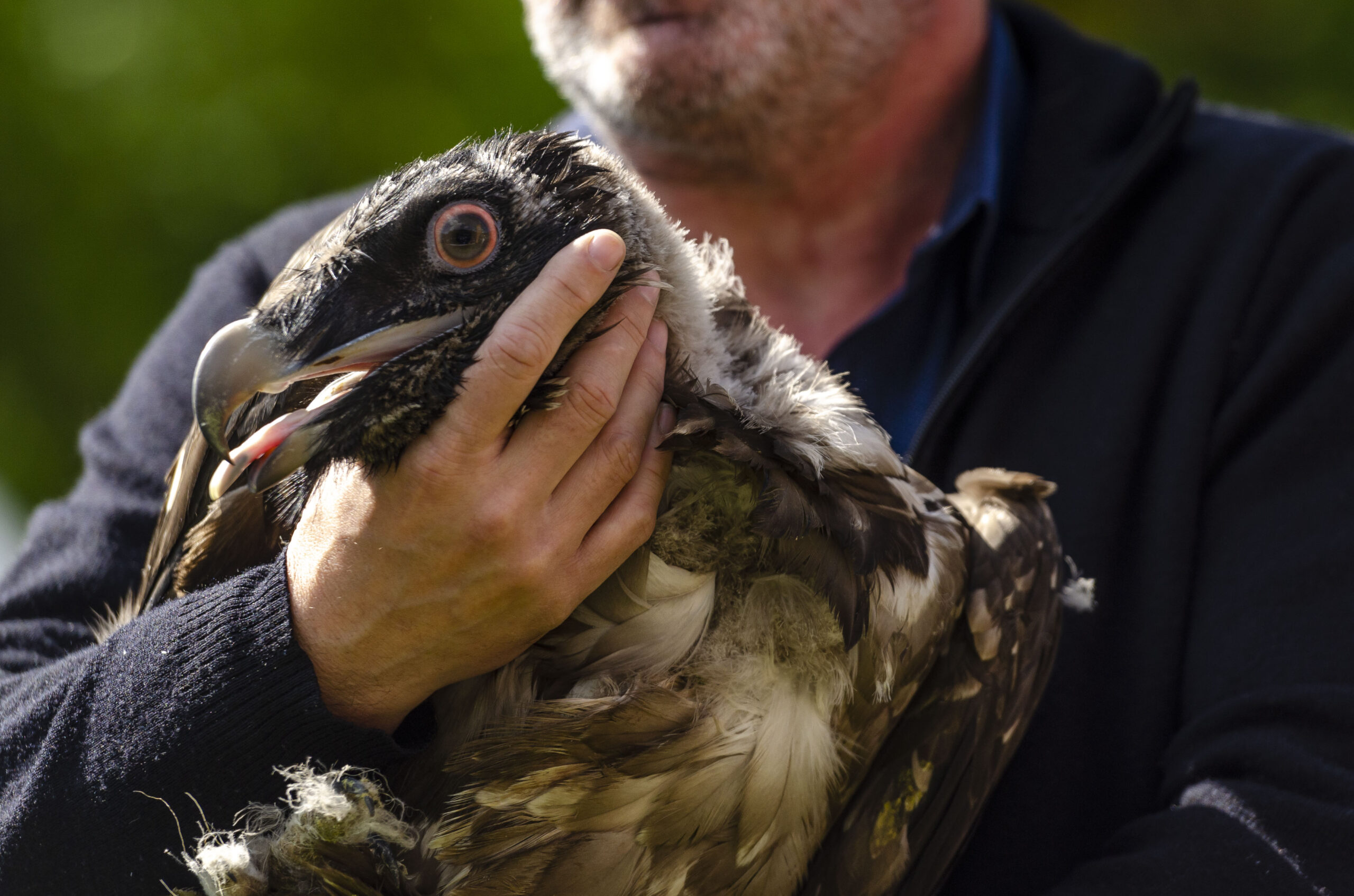 lachergypa09-05pro1305