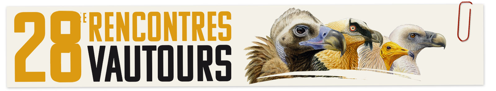 bandeaupptrencontresvautours-28